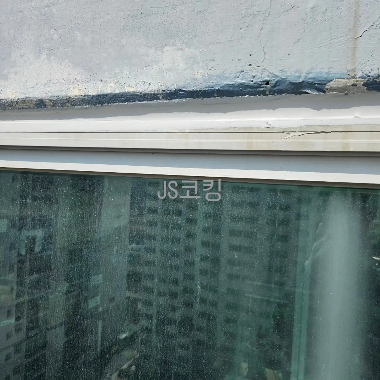 이미지 8