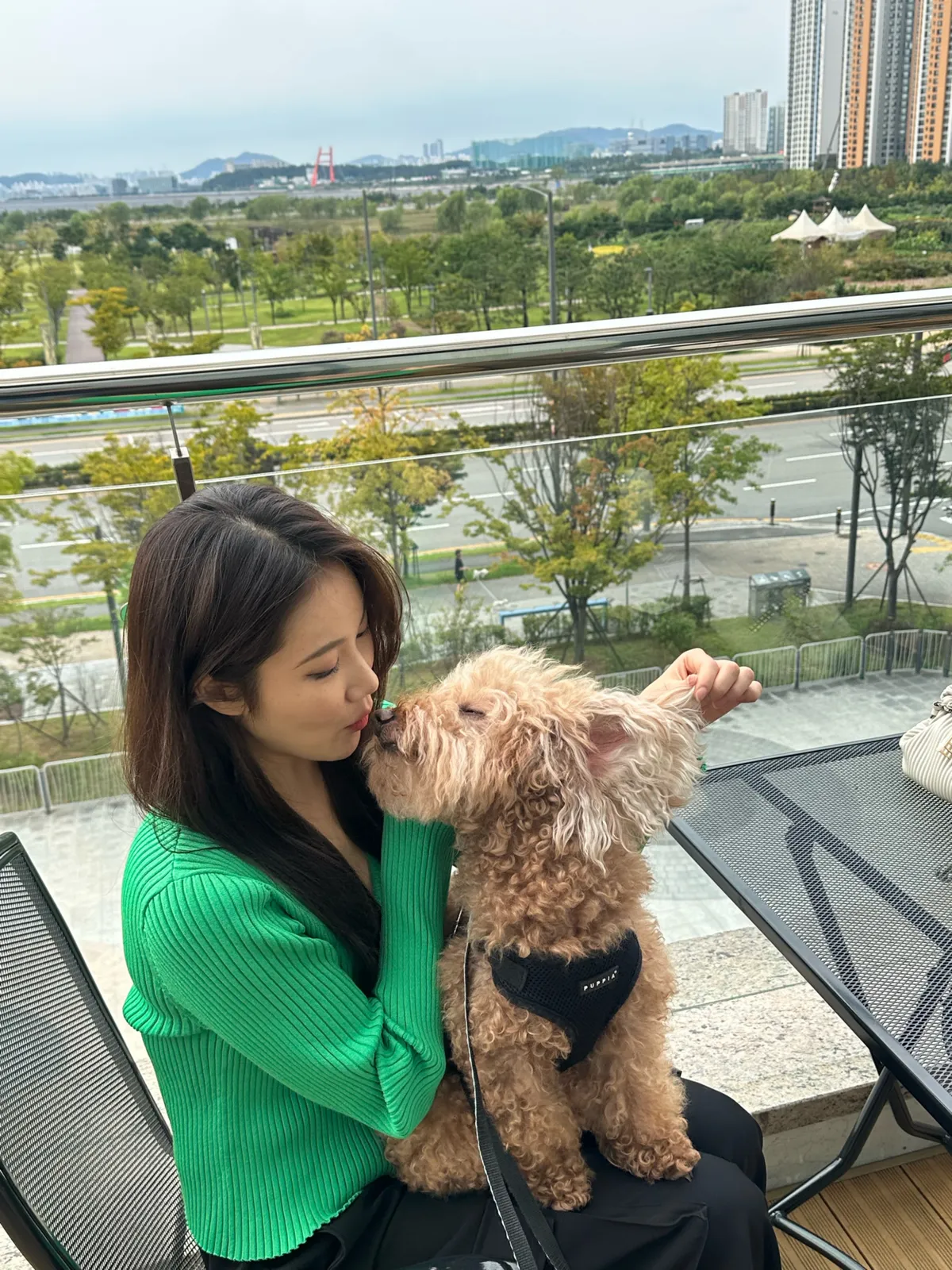 이미지 8
