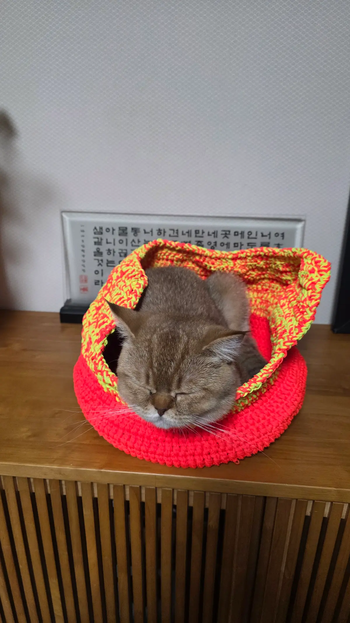 이미지 6