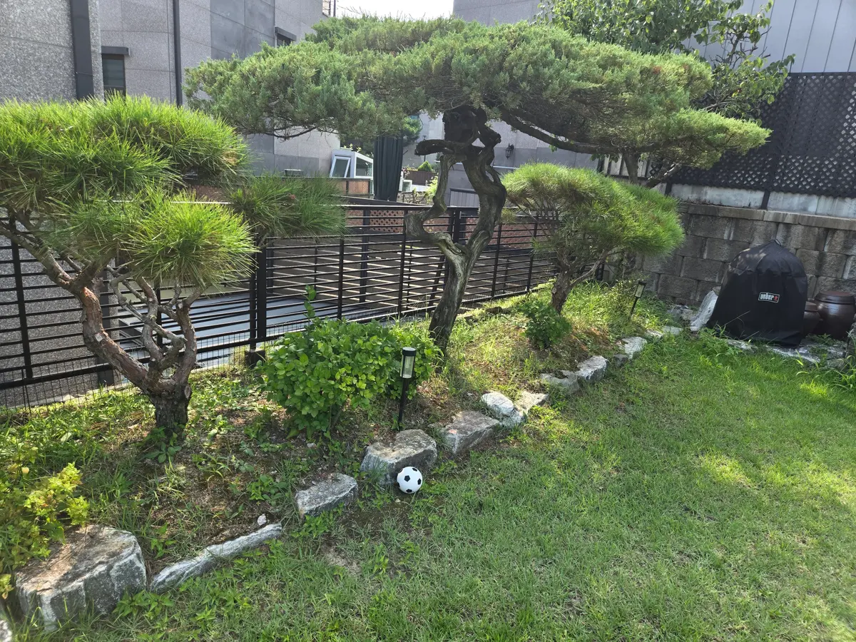 이미지 10