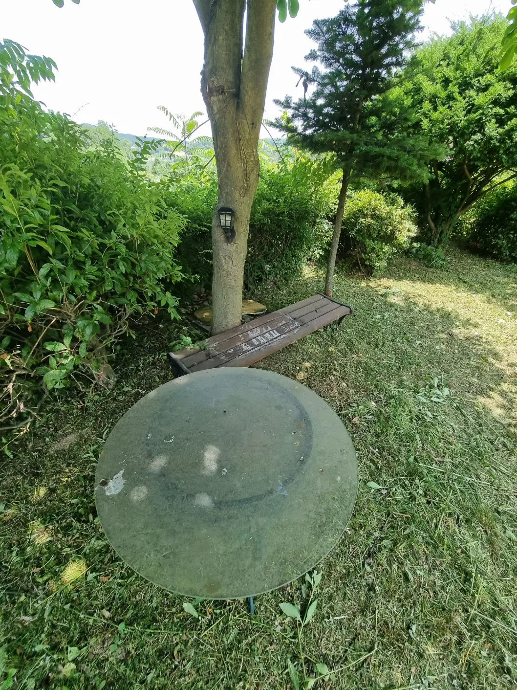 이미지 6