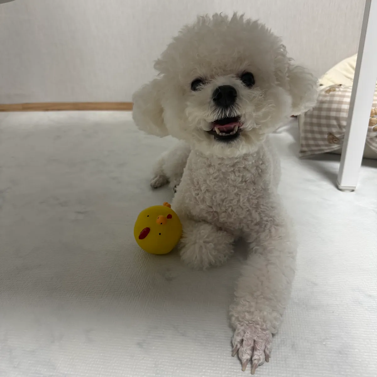 이미지 6