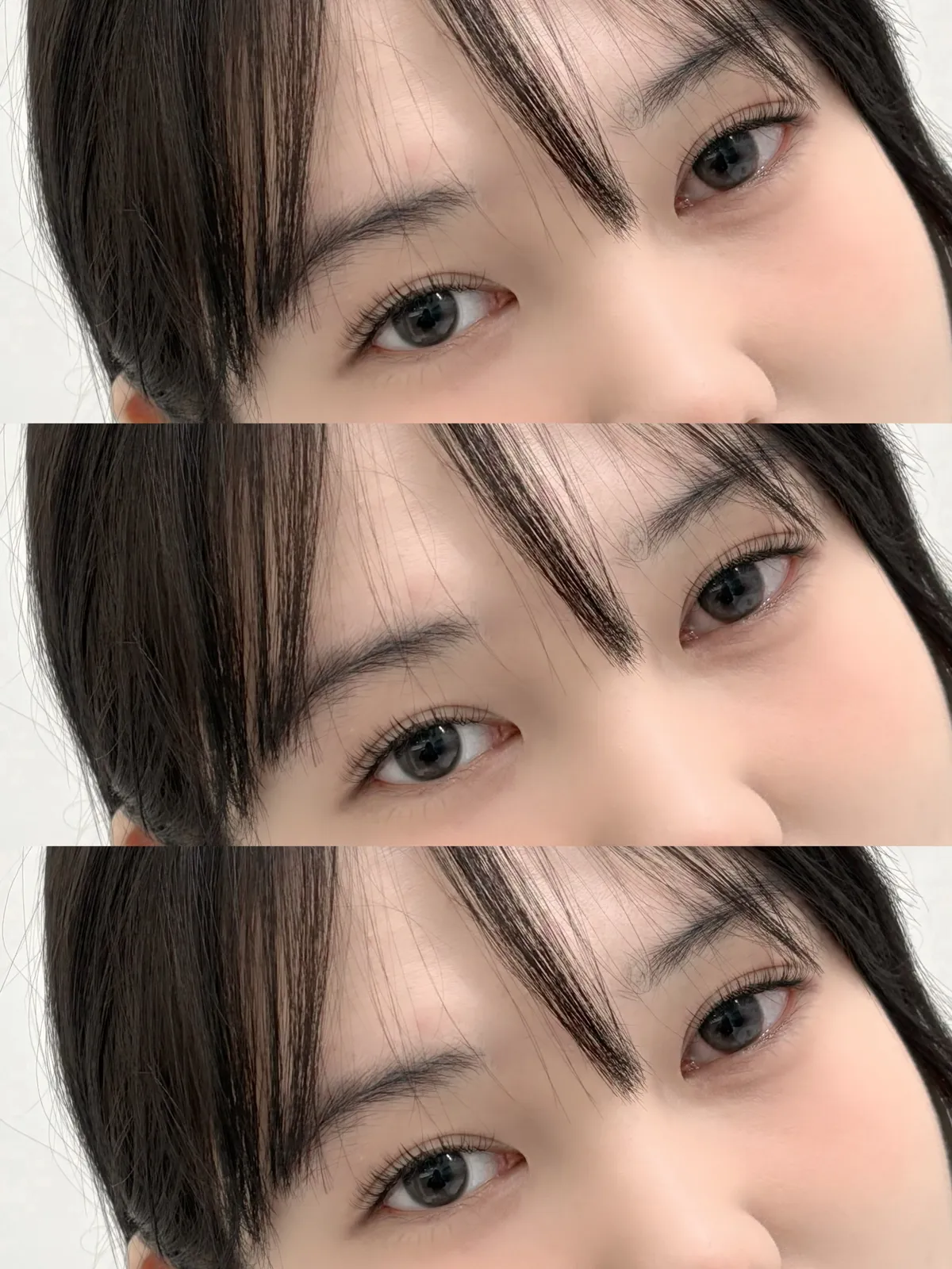 이미지 3