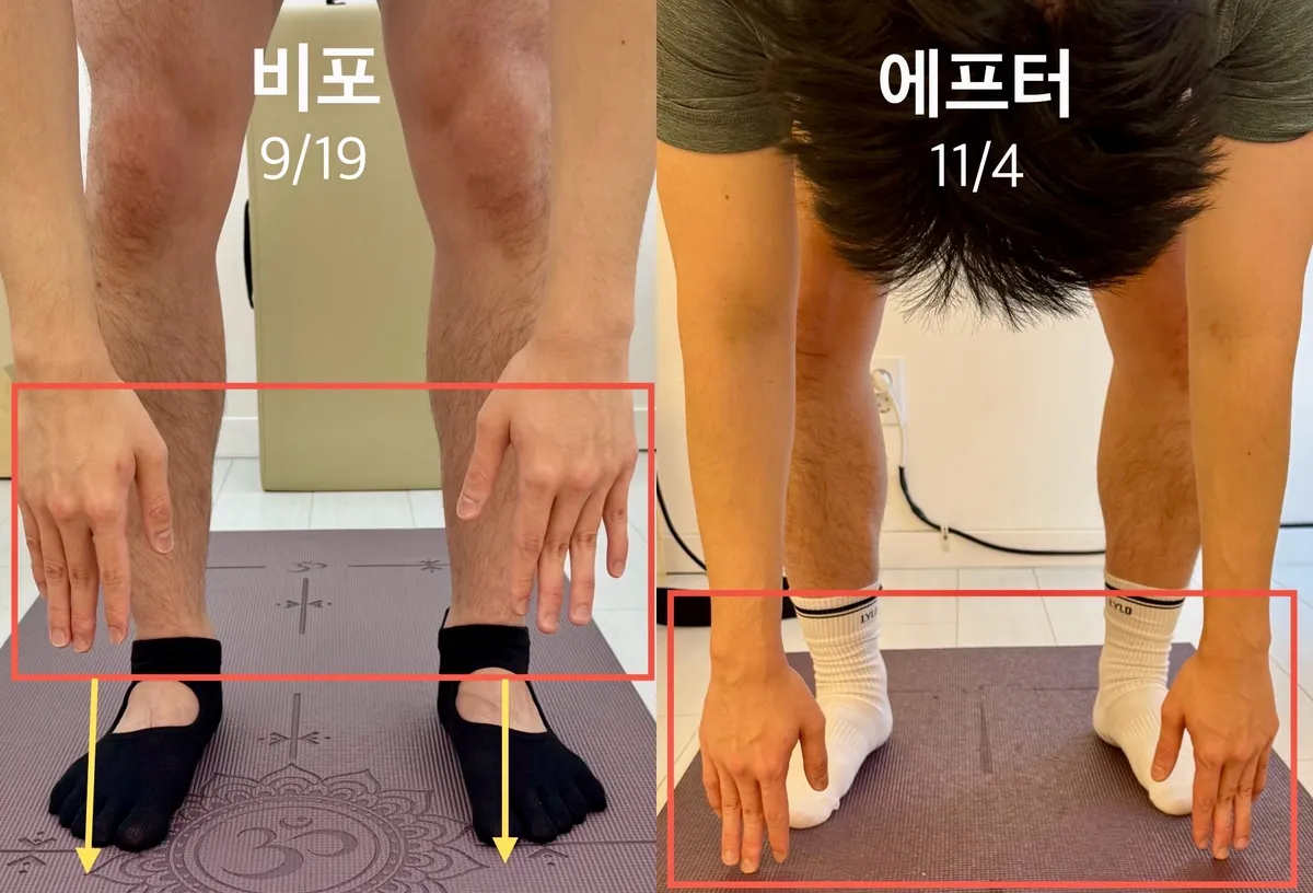 이미지 3