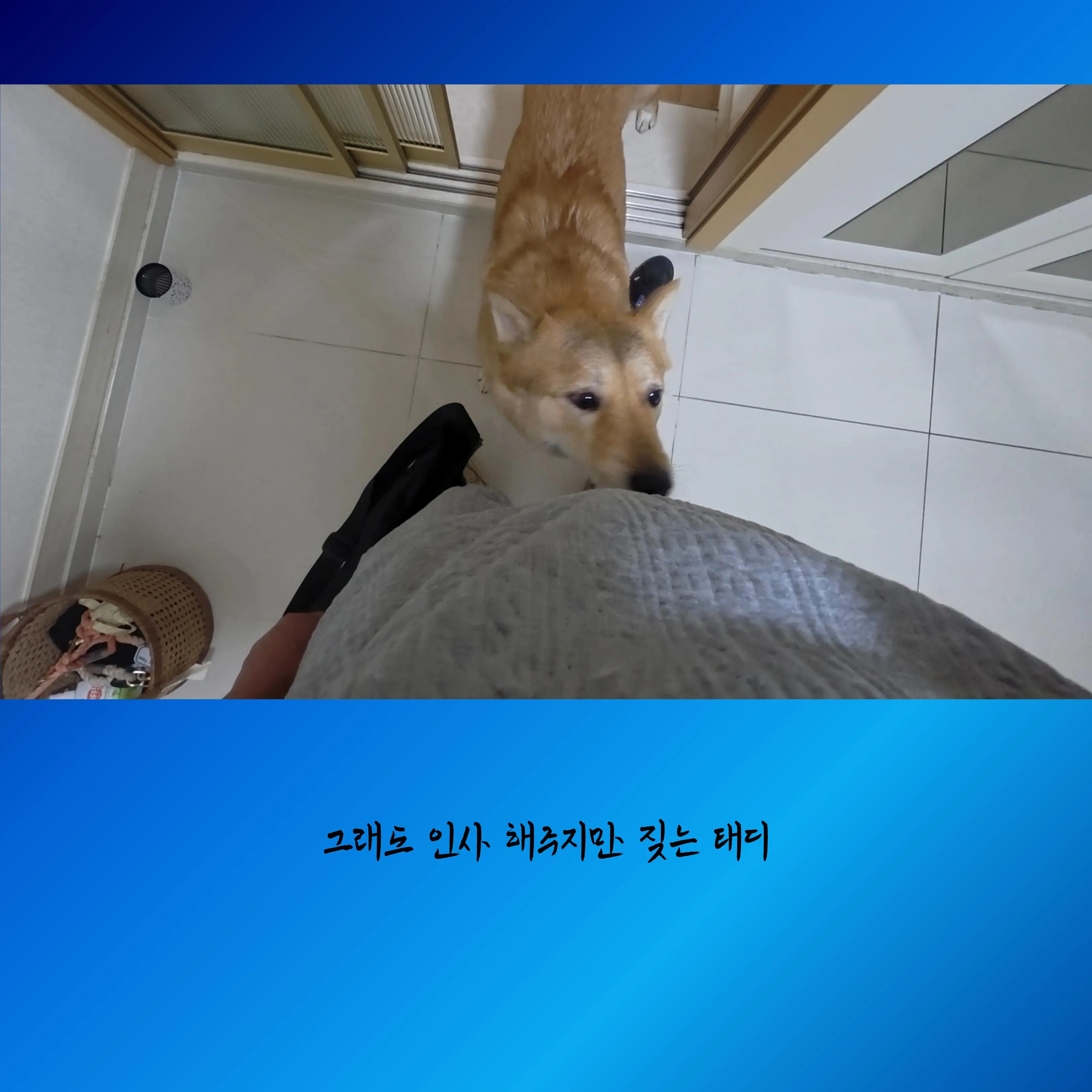 이미지 8