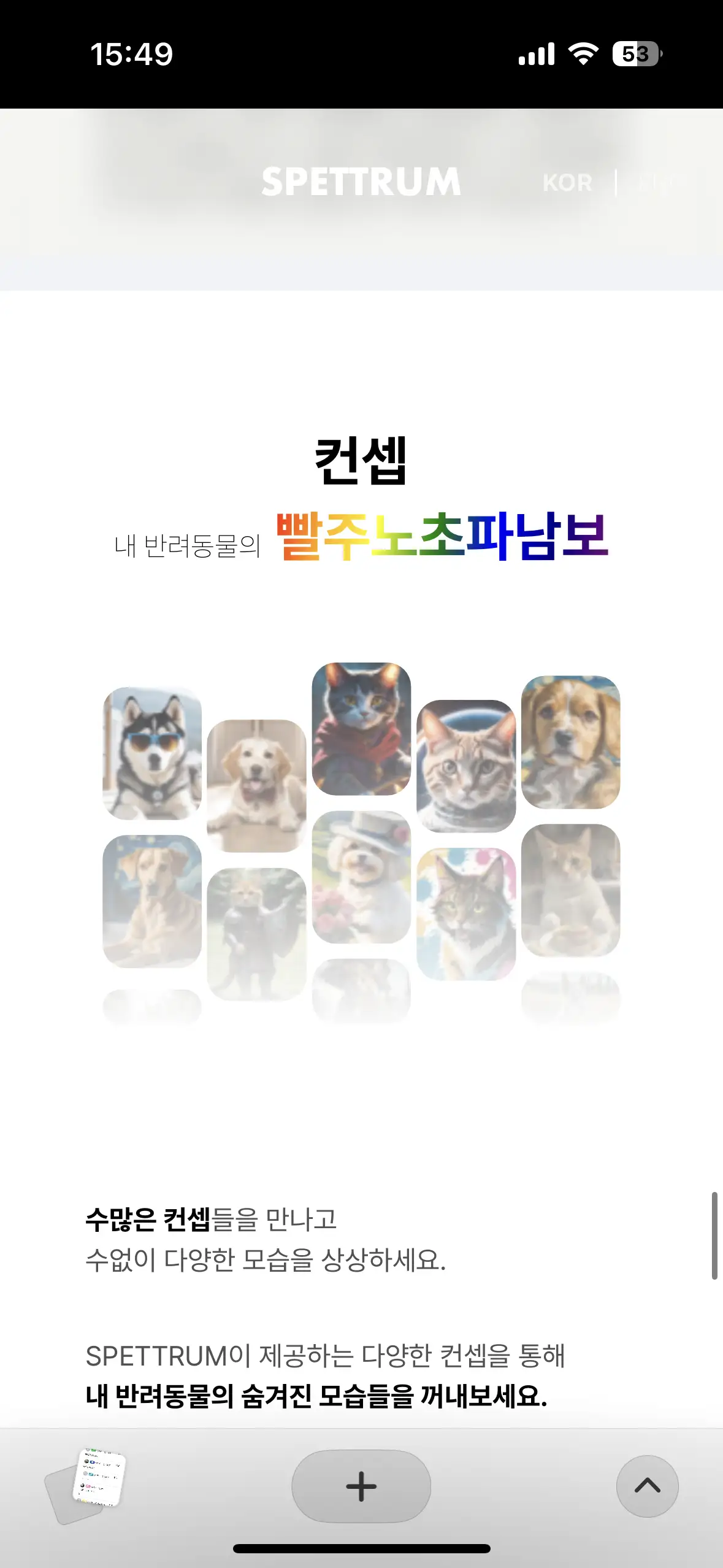 이미지 5