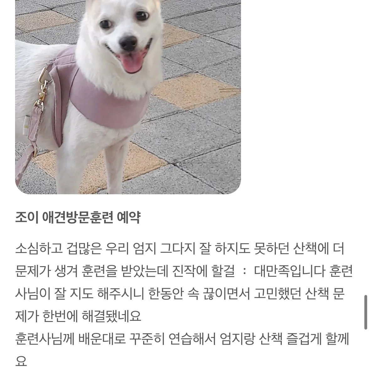 이미지 11