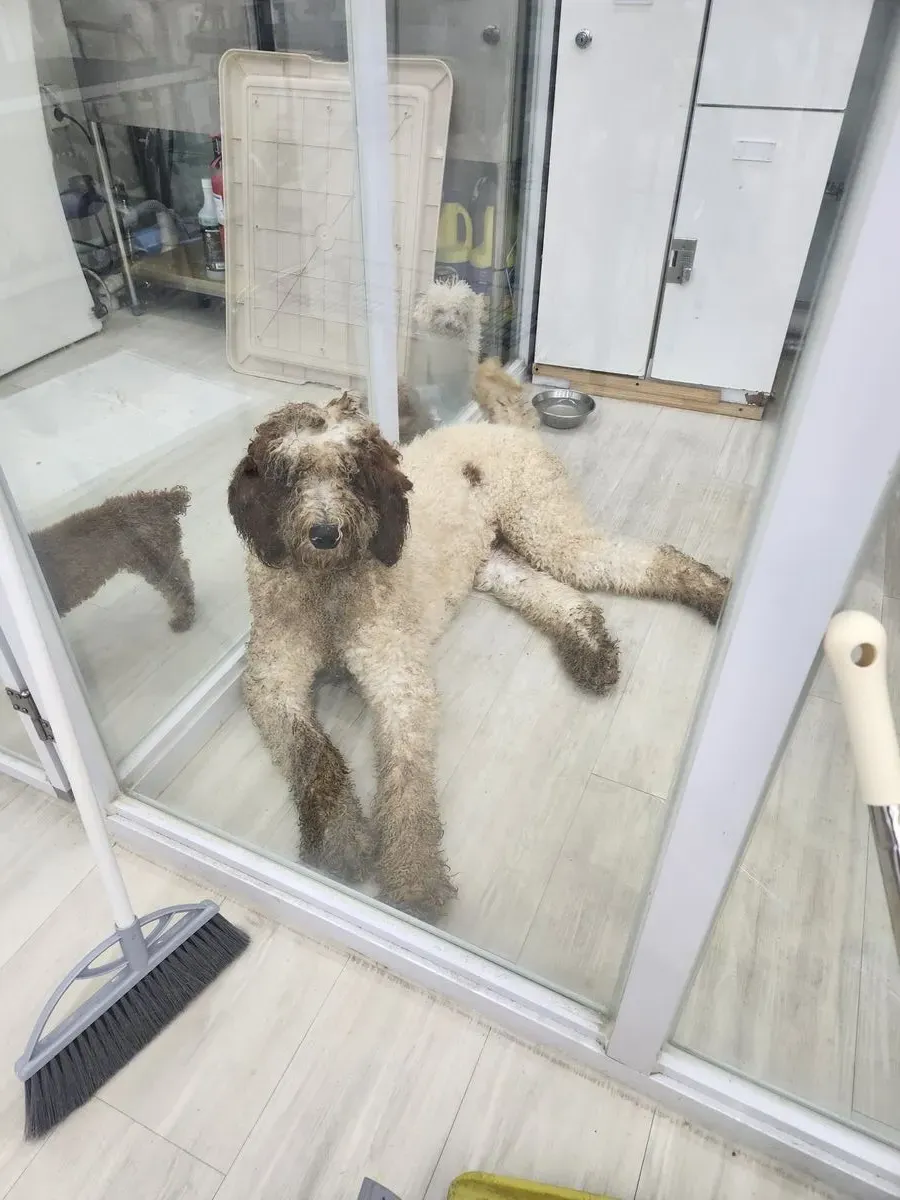 이미지 12