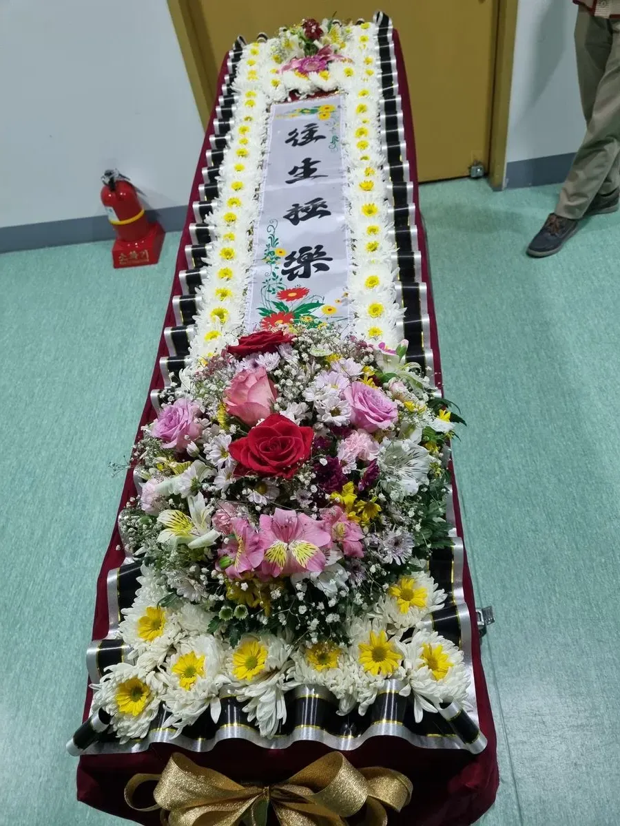 이미지 9
