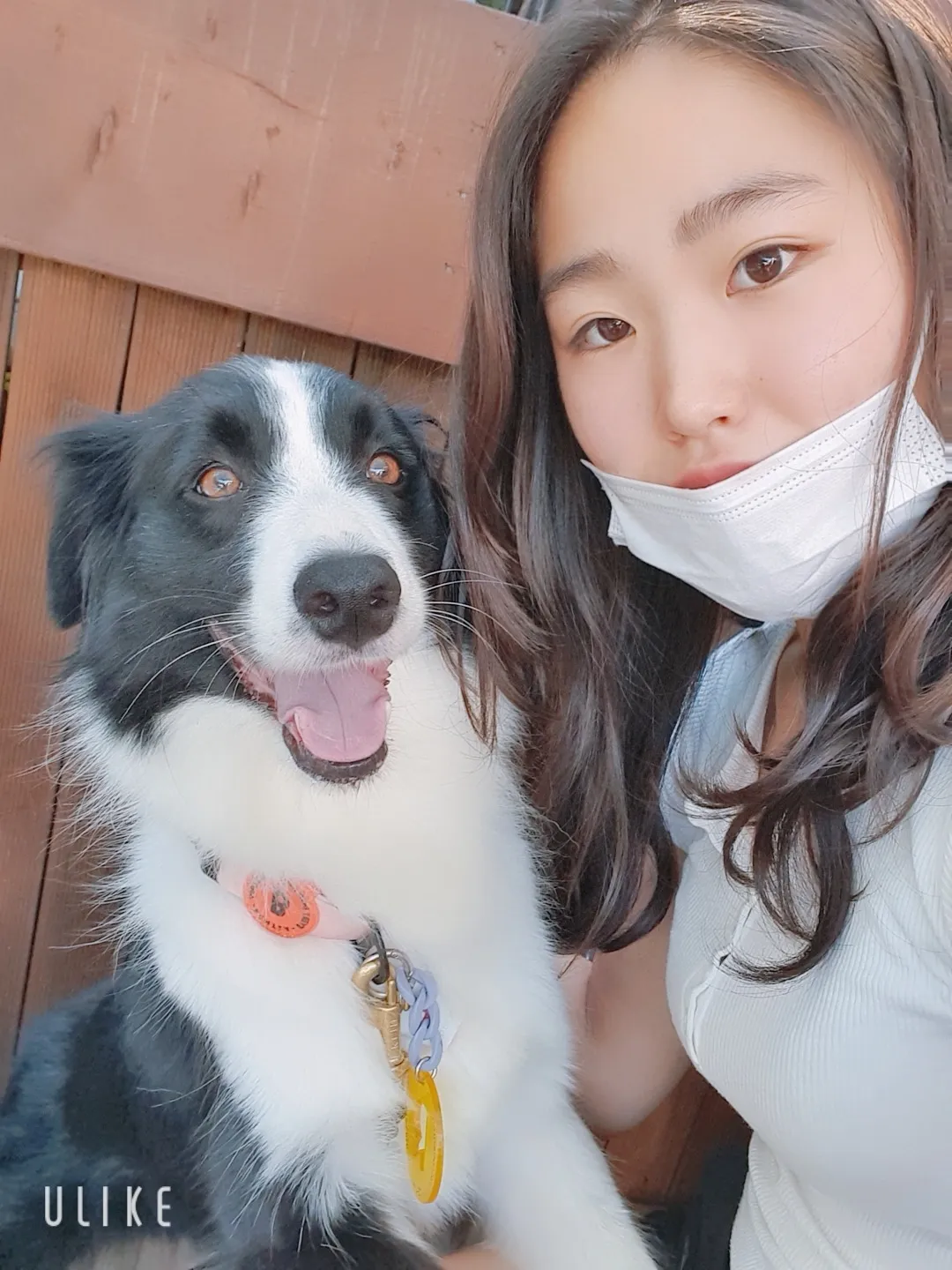 이미지 6
