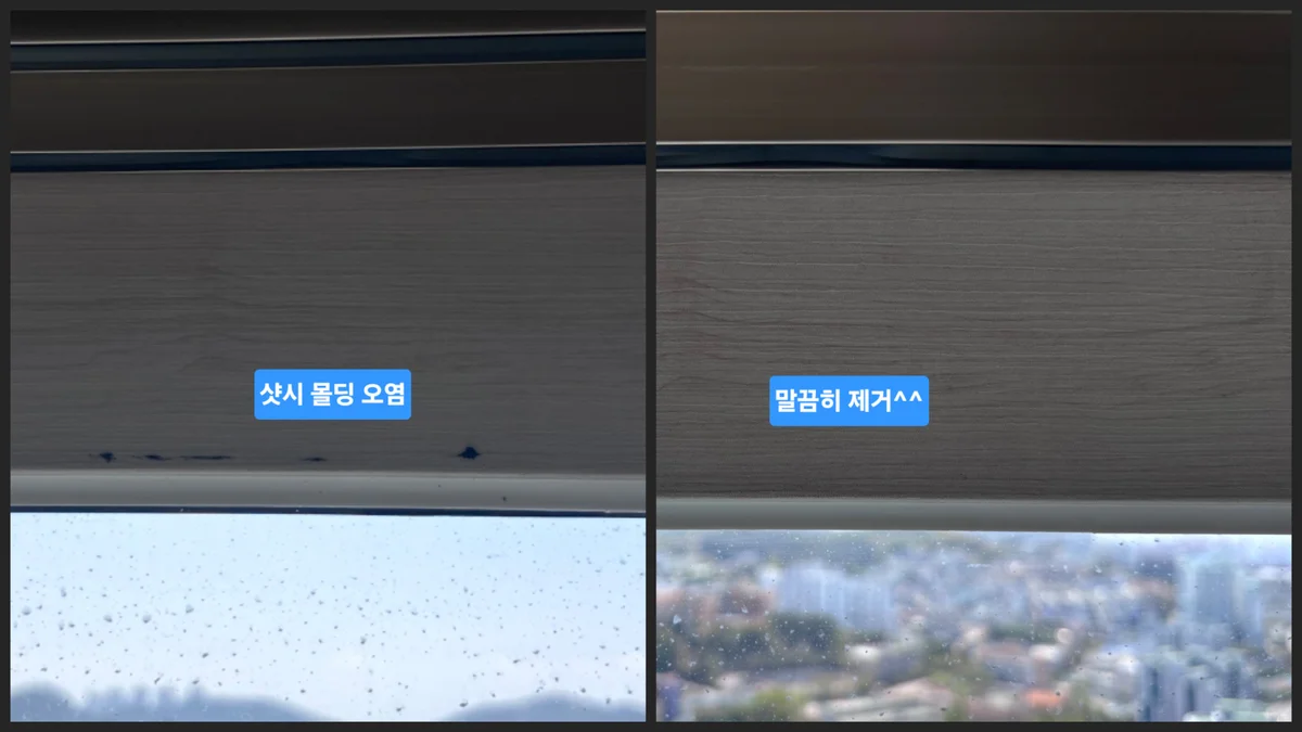 이미지 6