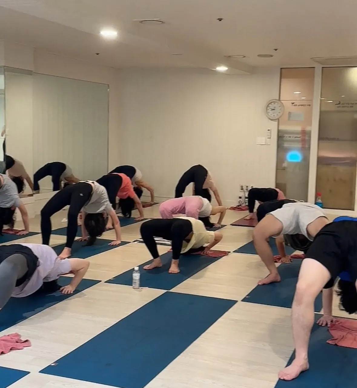 이미지 8