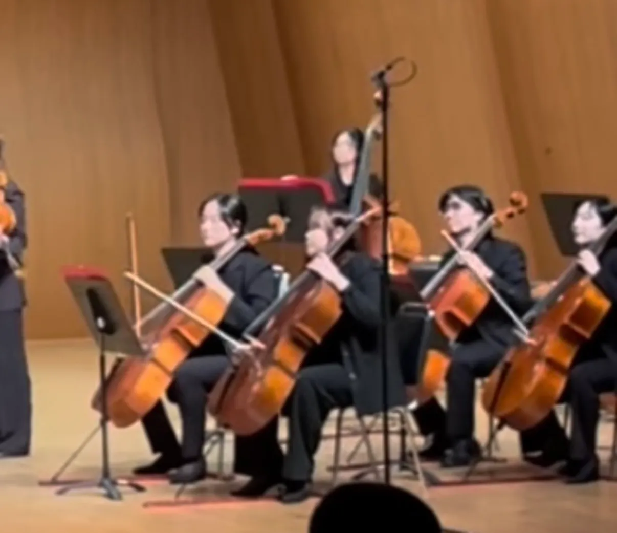 이미지 4