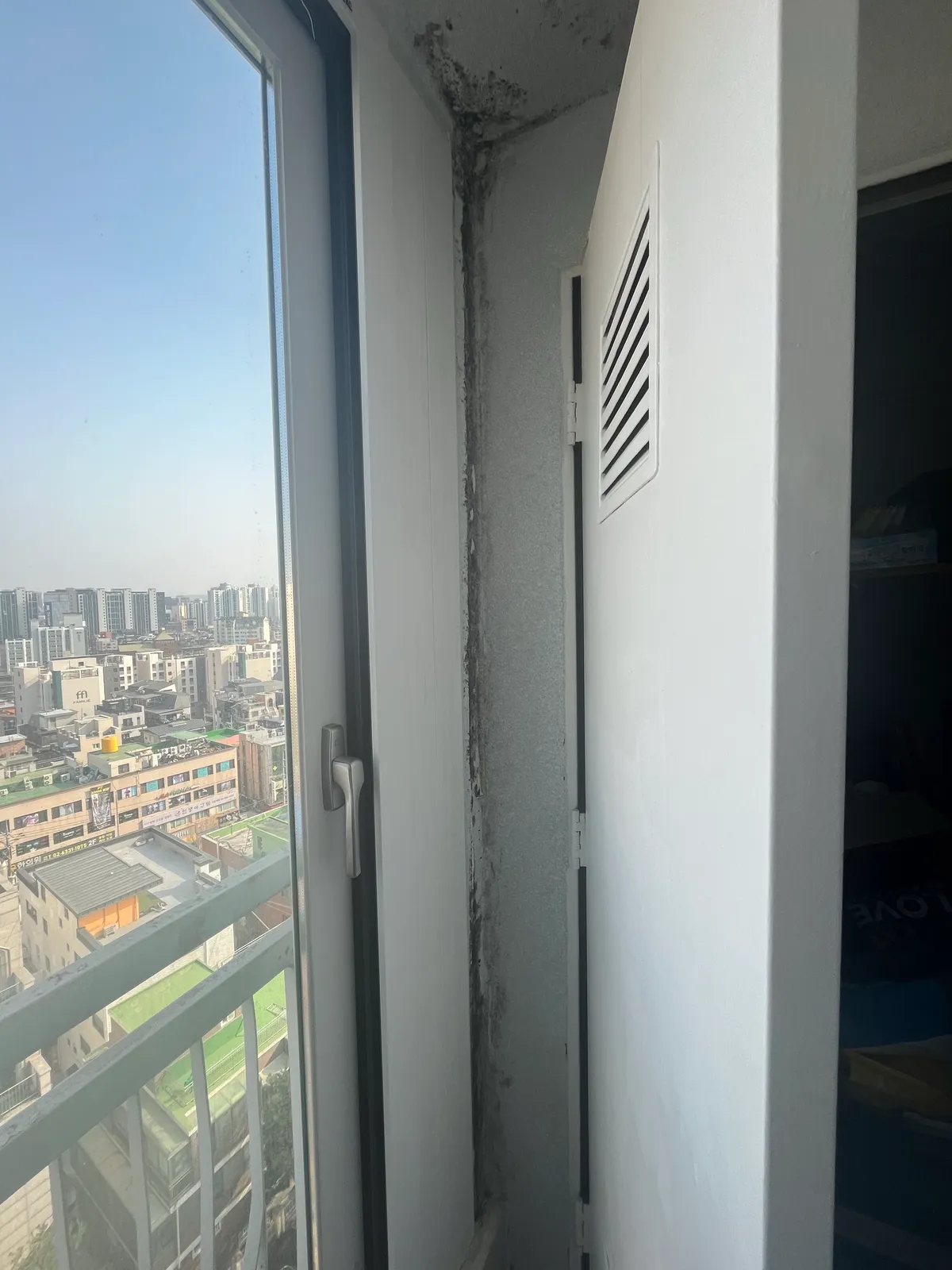 이미지 8