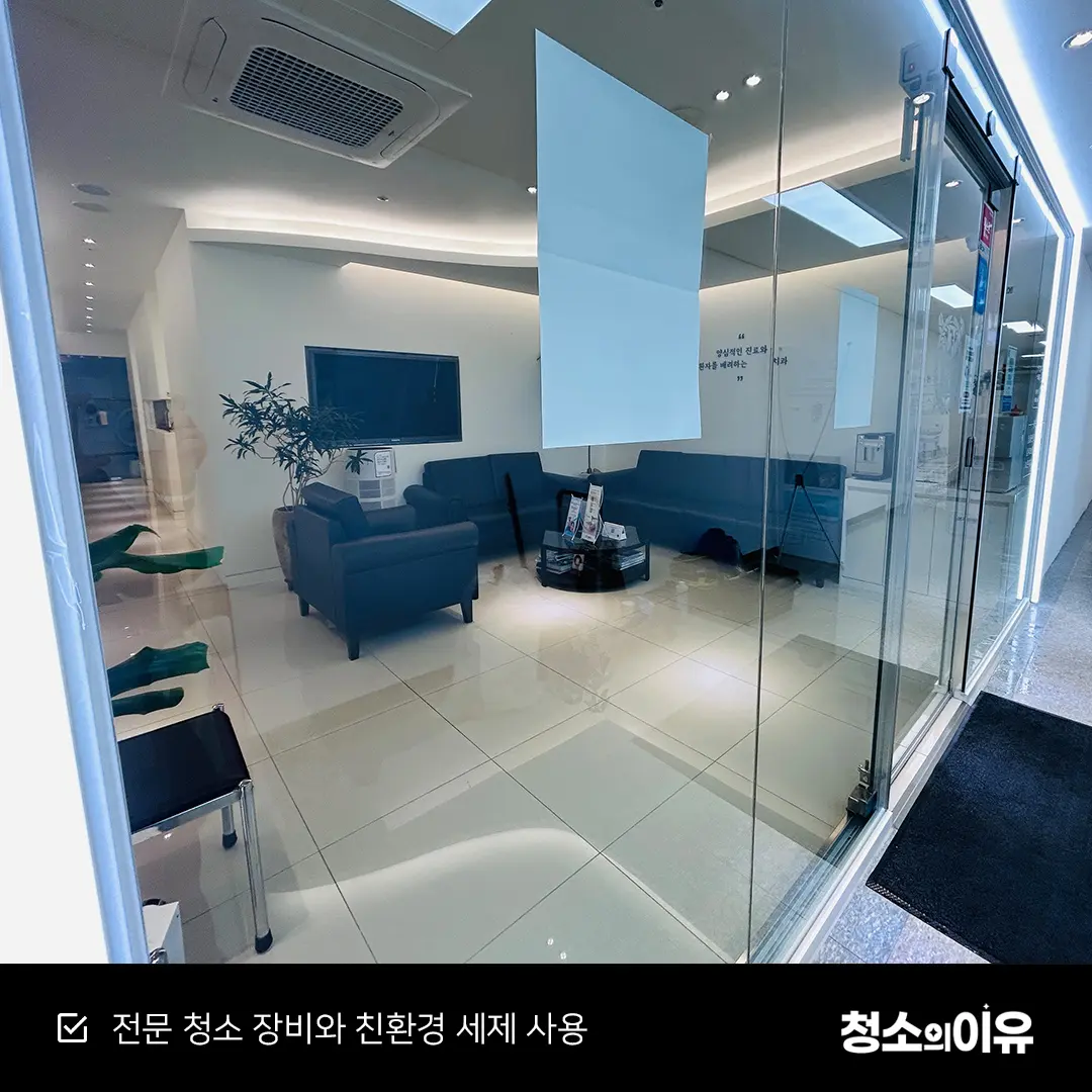 이미지 12