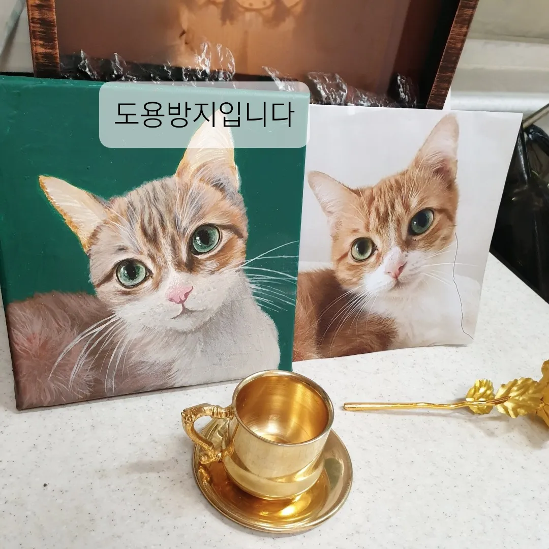 이미지 8