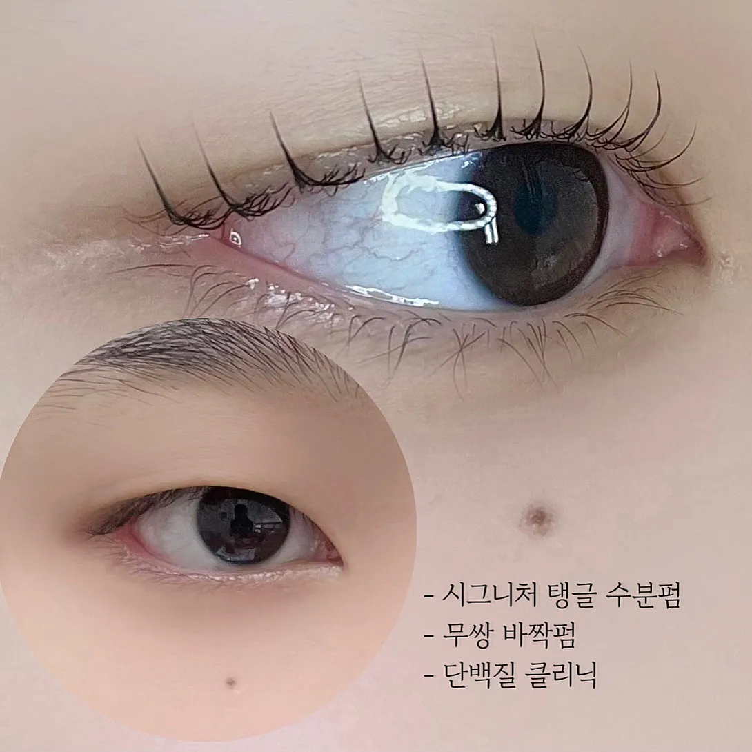 이미지 6