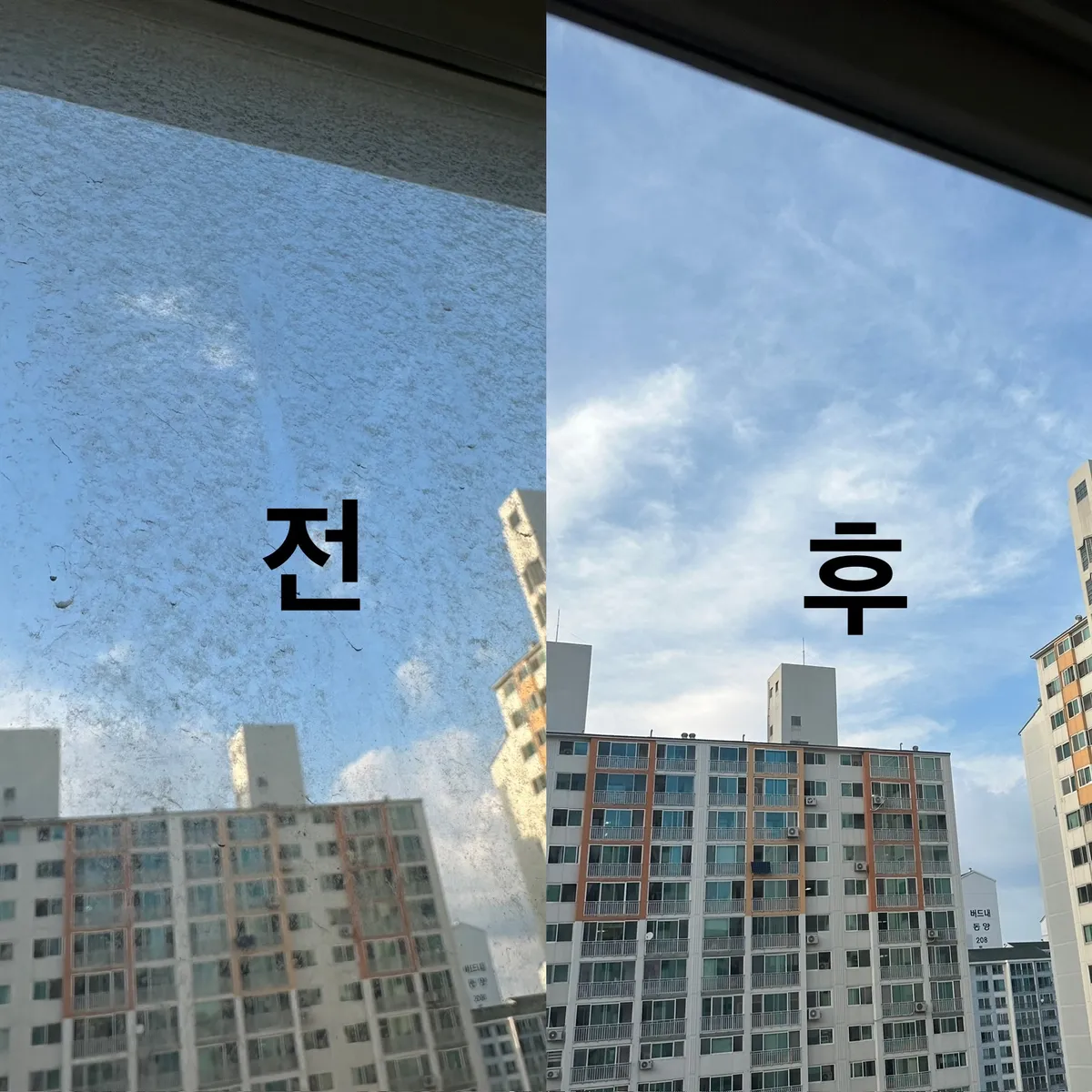 이미지 9