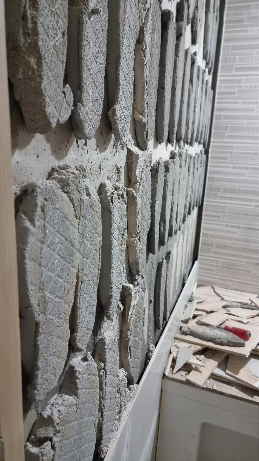 이미지 5