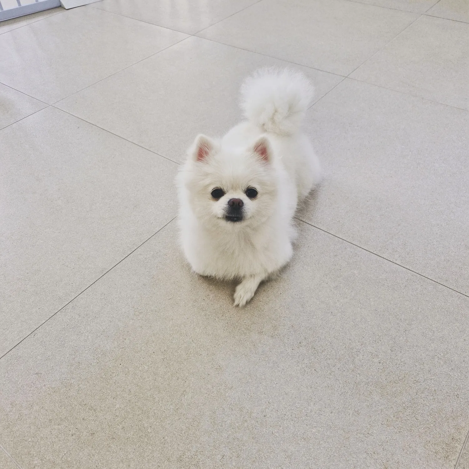 이미지 10