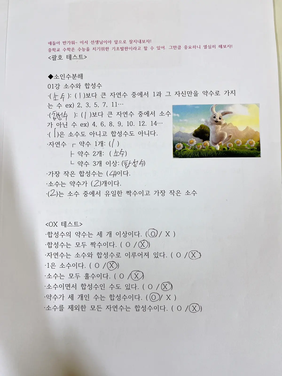 이미지 8