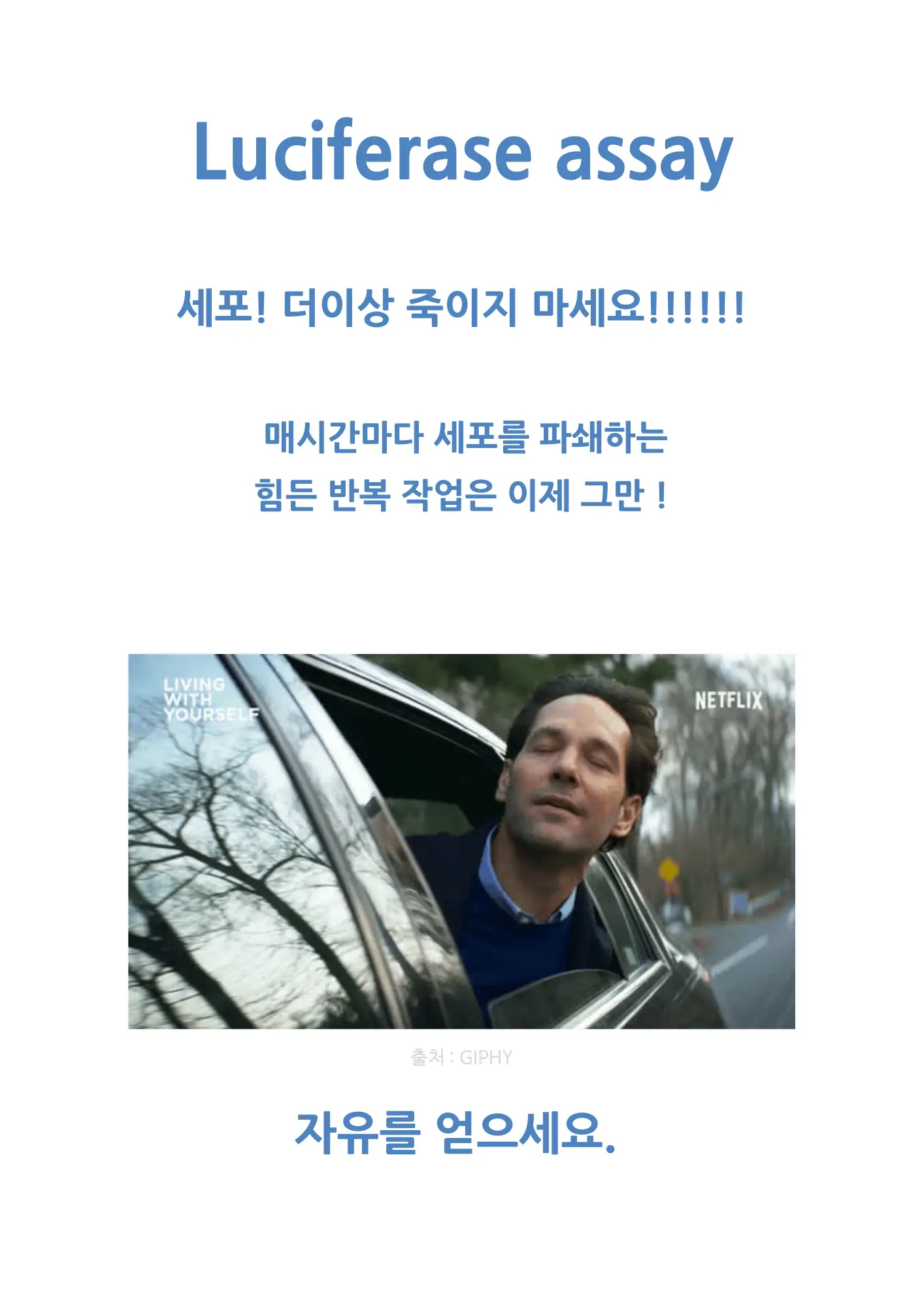 이미지 2