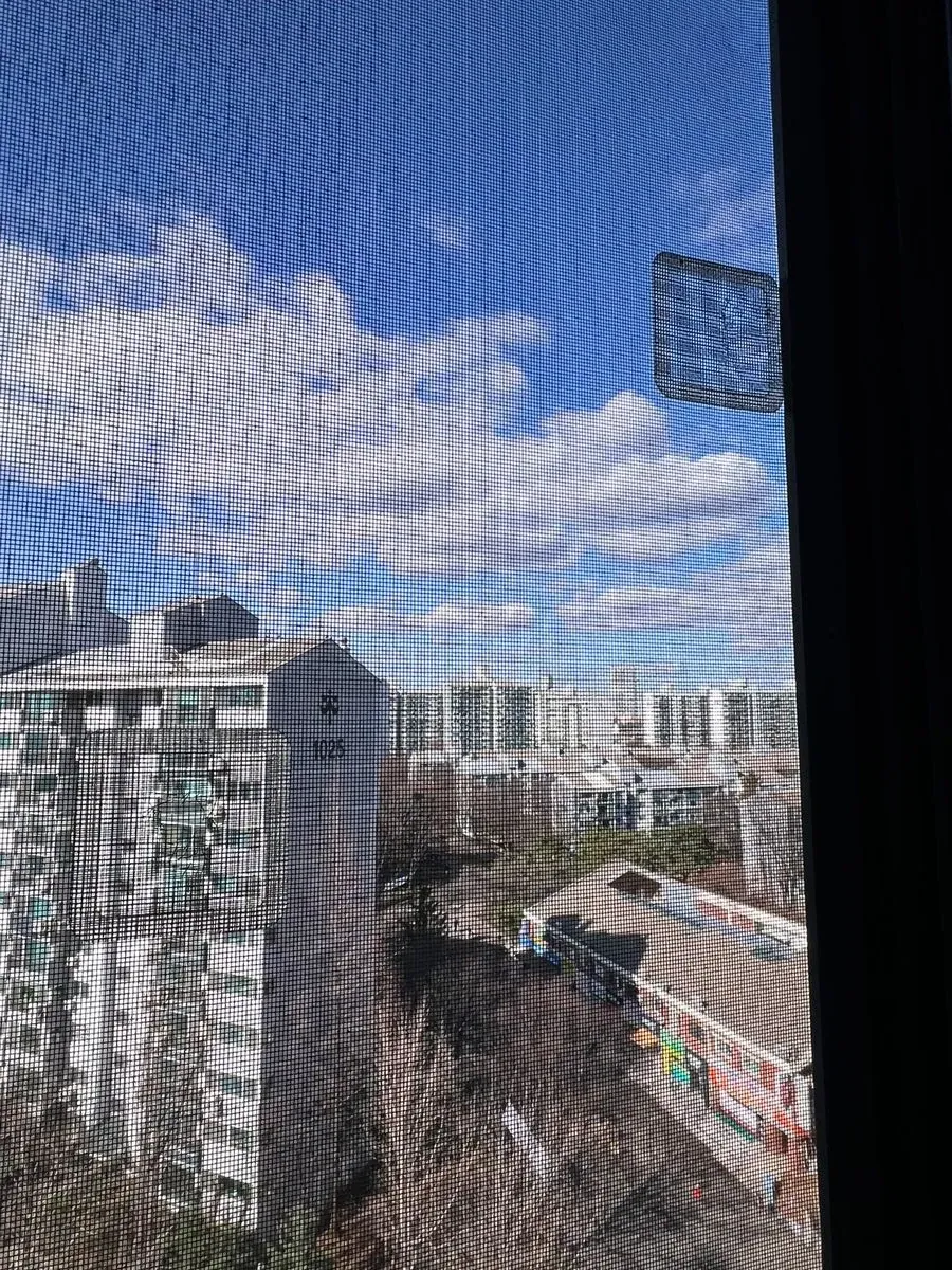 이미지 3