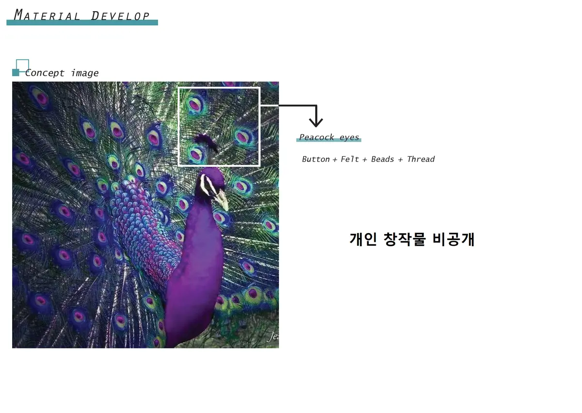 이미지 5