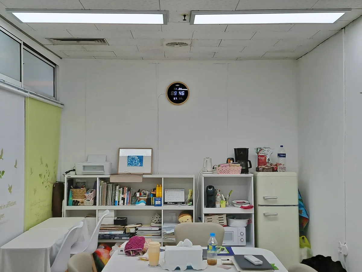 이미지 5