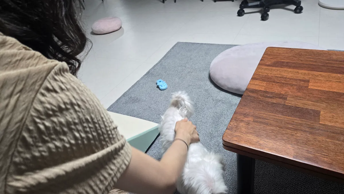 이미지 9