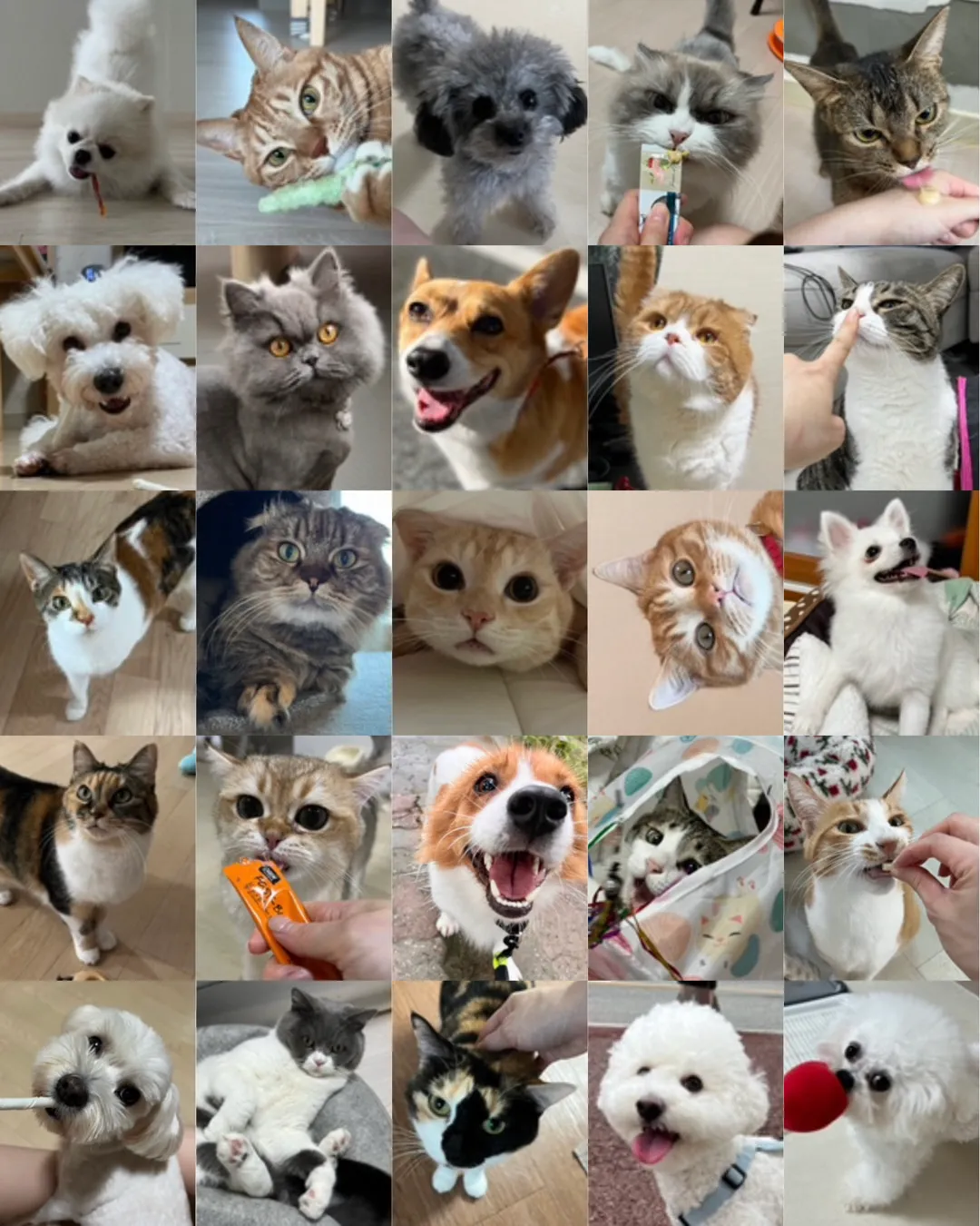 이미지 8