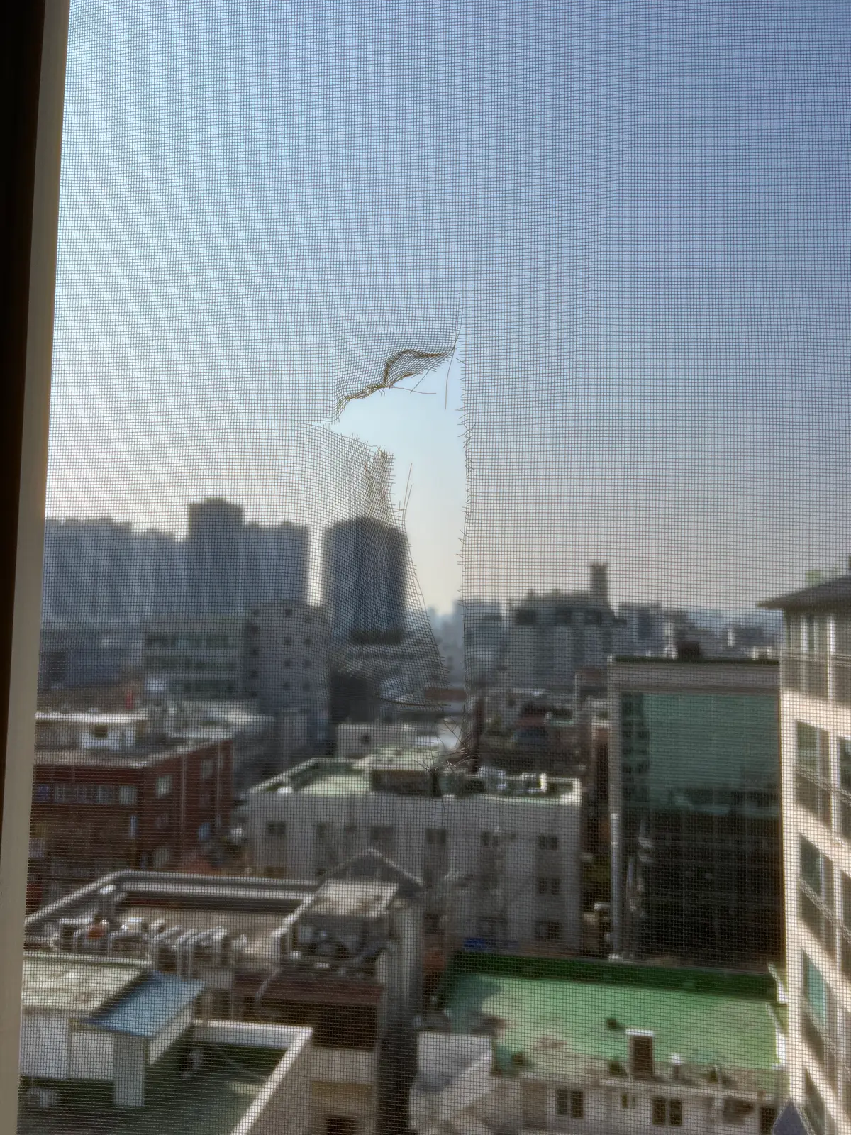 이미지 4