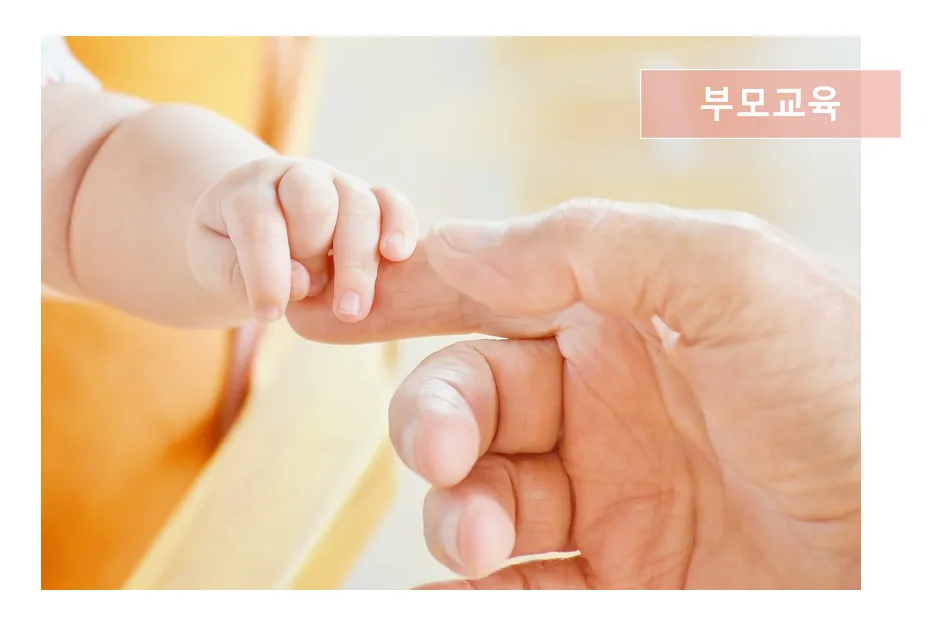 이미지 5