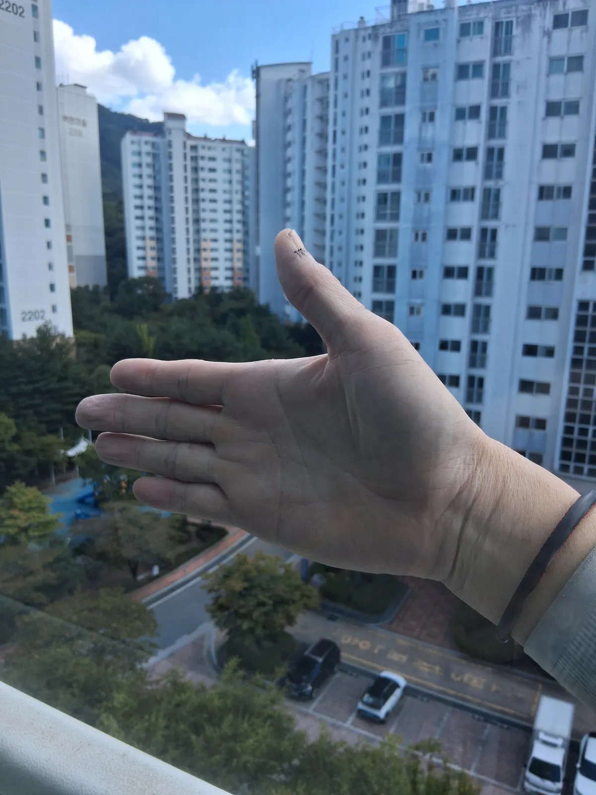 이미지 24