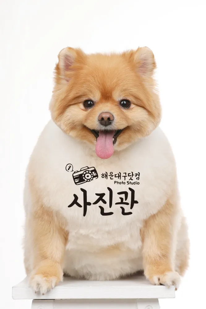 이미지 26