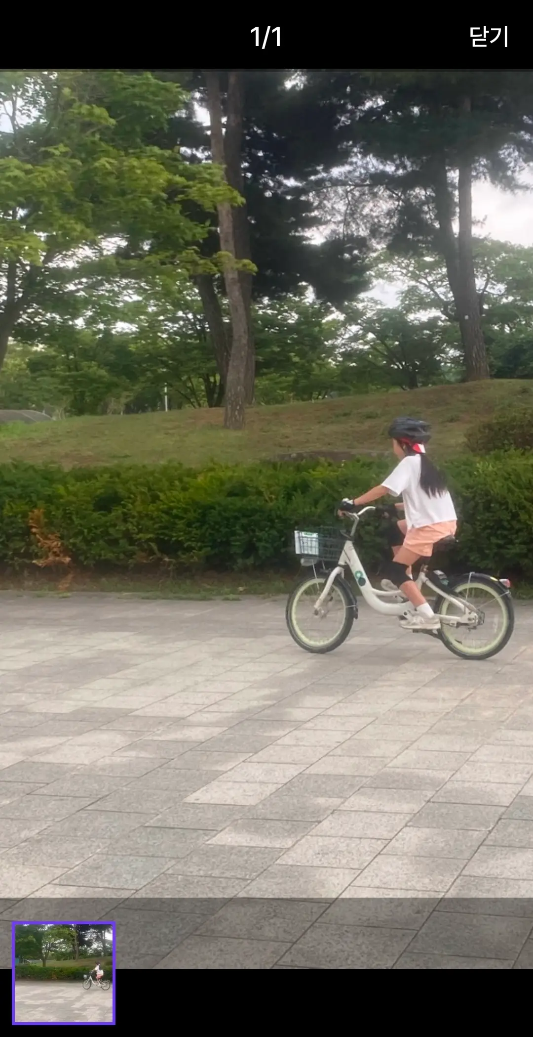 이미지 10