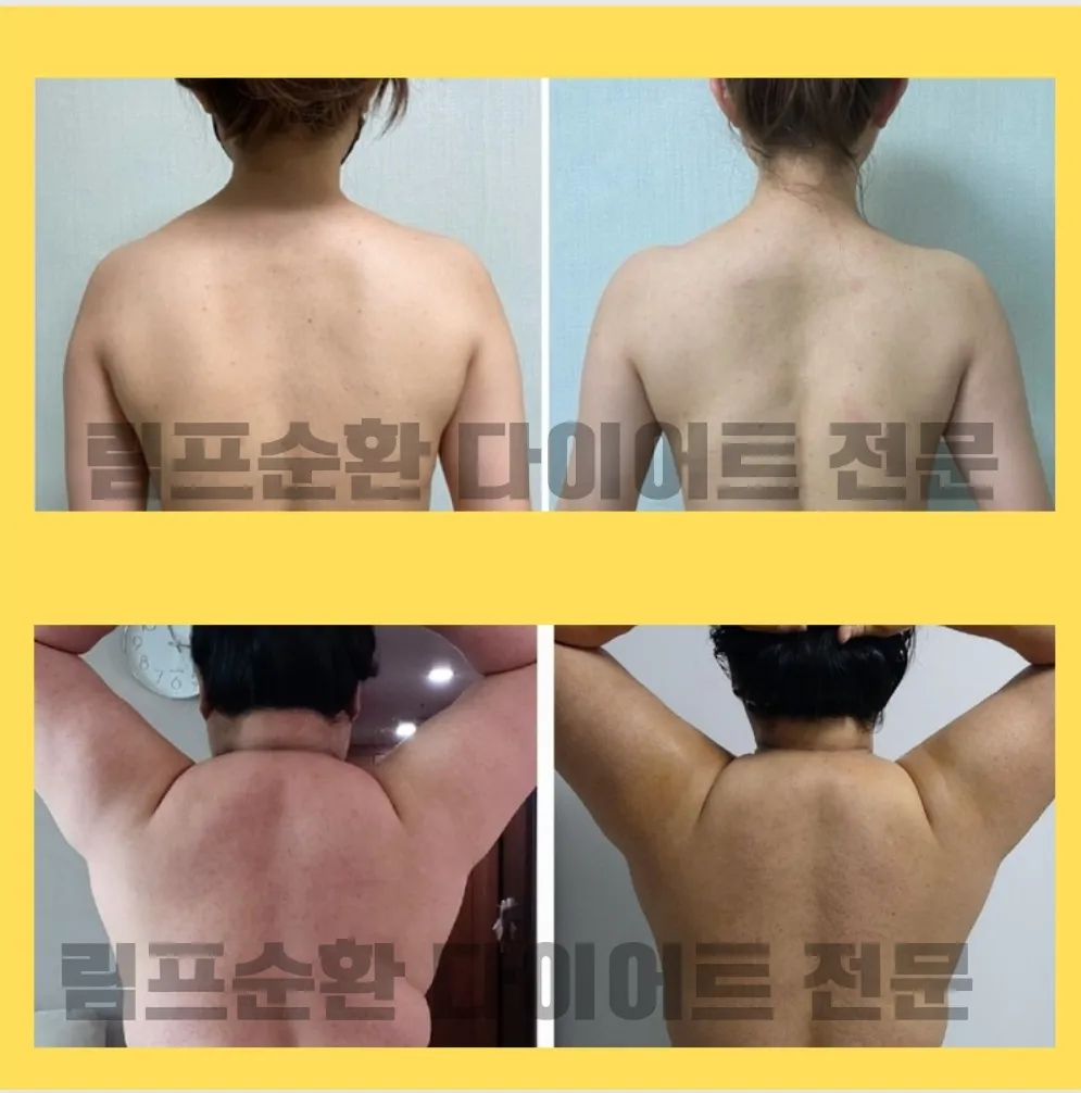 이미지 4