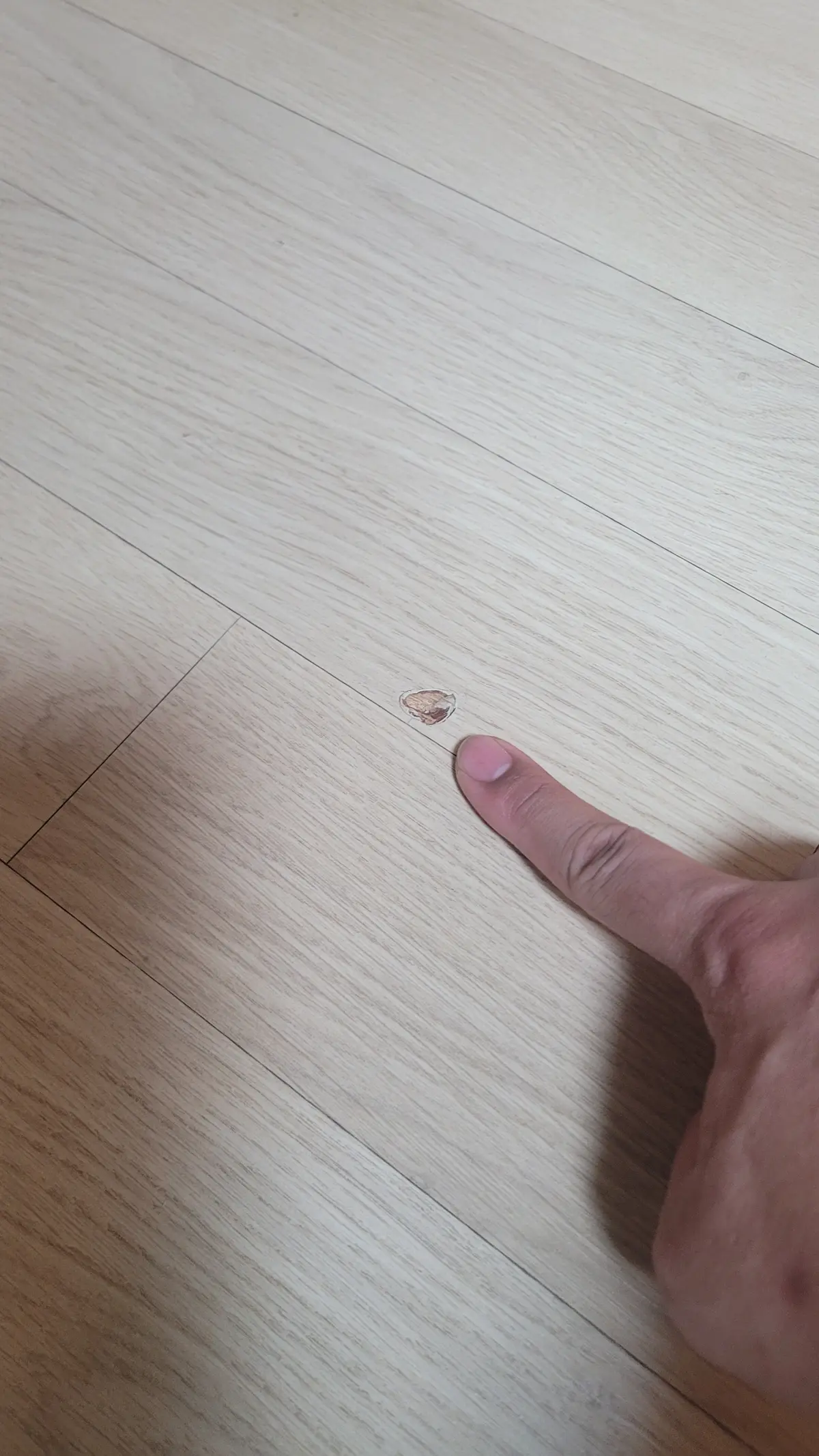 이미지 5