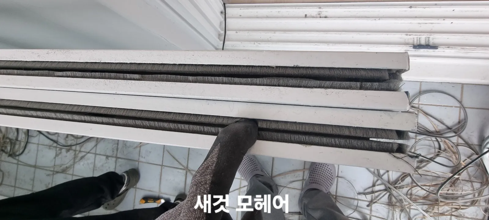이미지 4