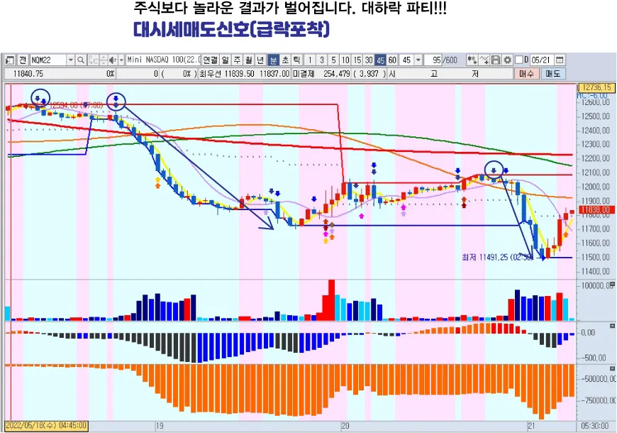이미지 5