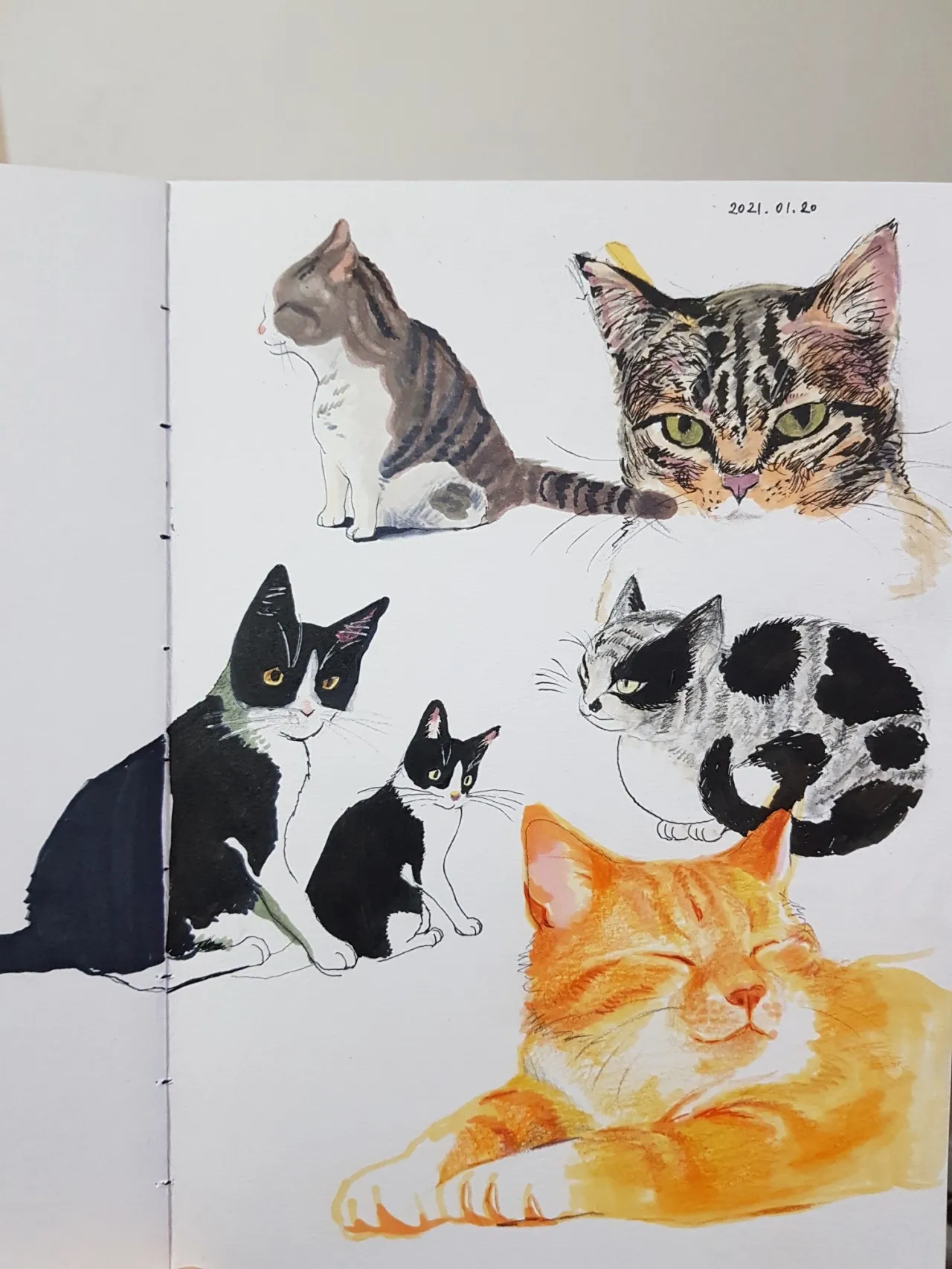 이미지 12