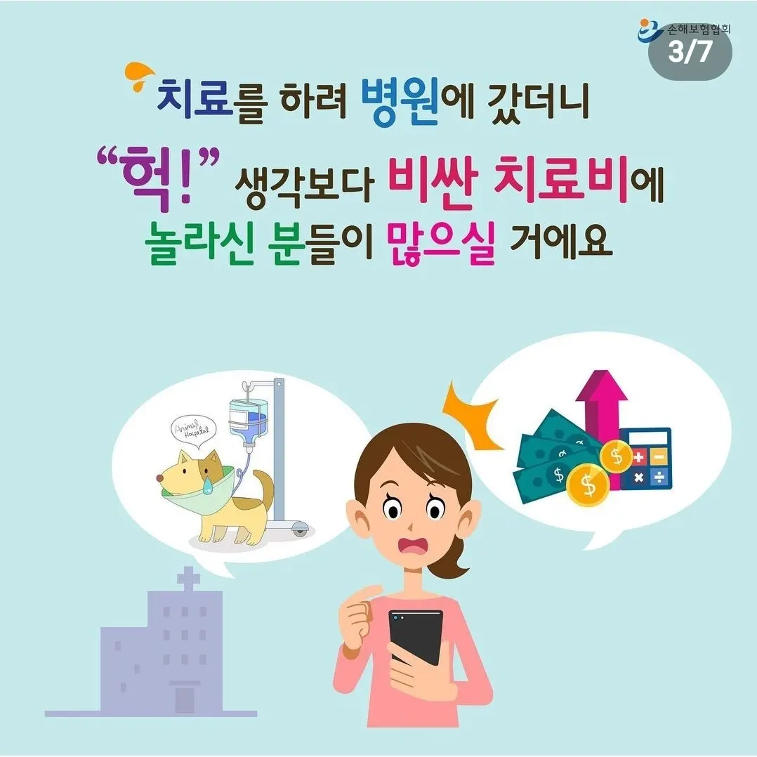 이미지 5