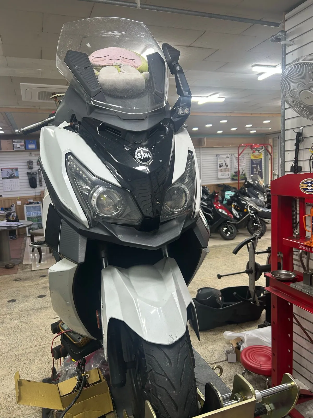 포트폴리오 이미지