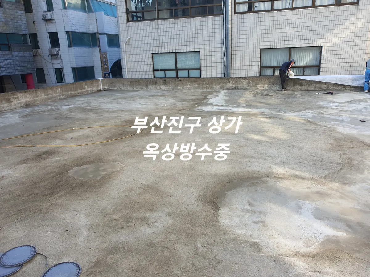 이미지 5