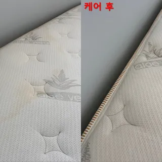 동대문구에서 진행한 싱글매트리스 케어