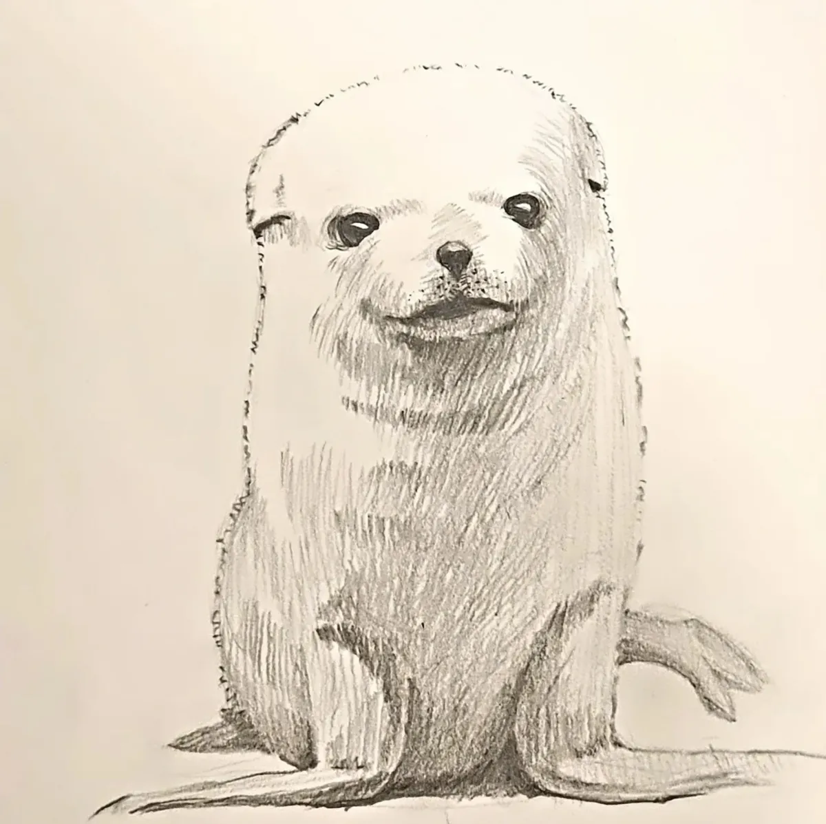 이미지 11
