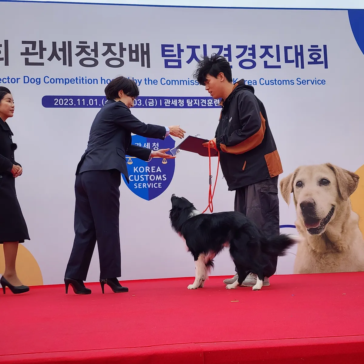 이미지 9