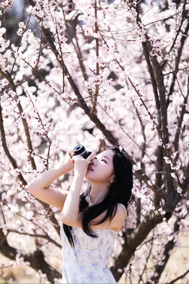 이미지 11
