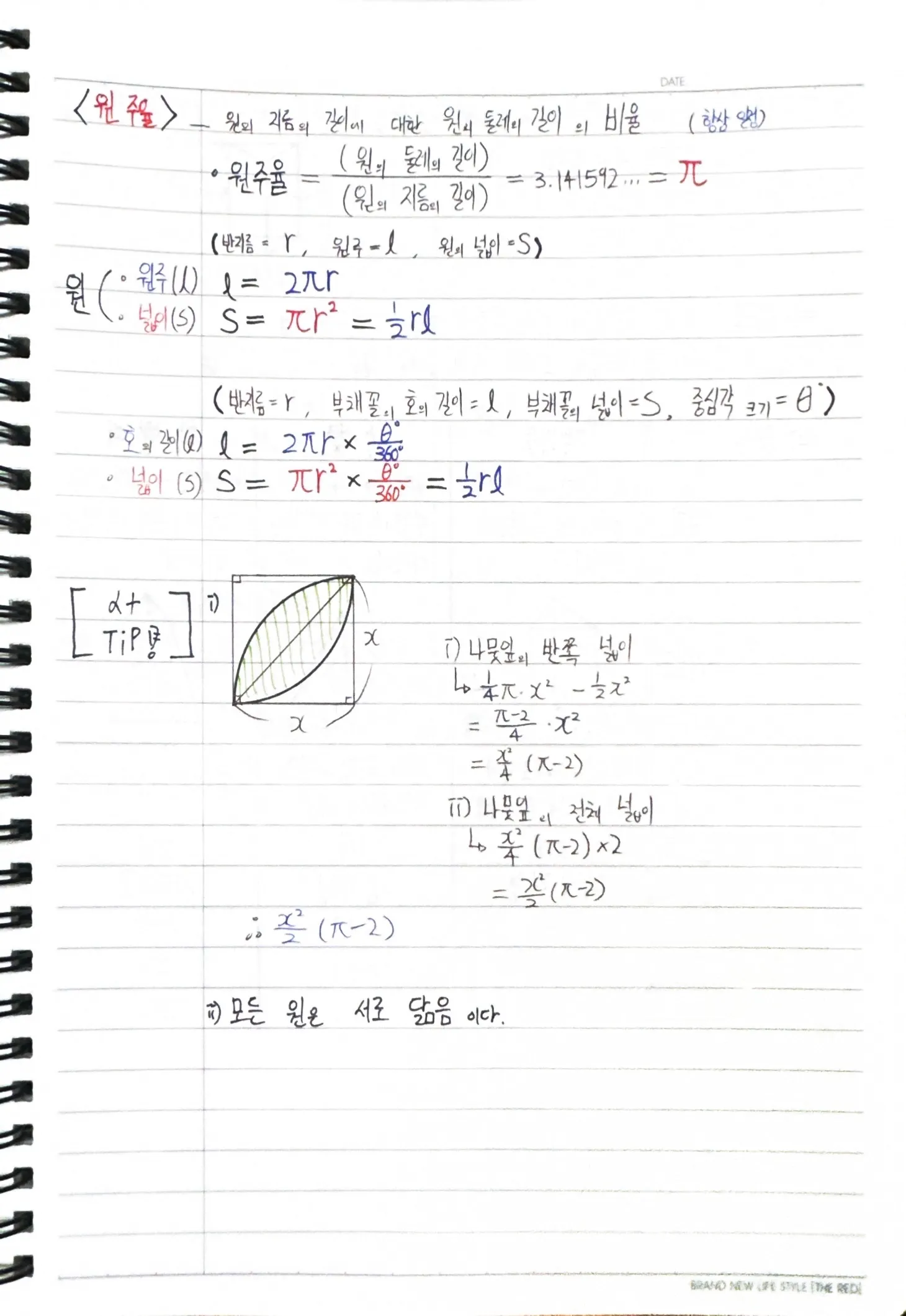 이미지 7