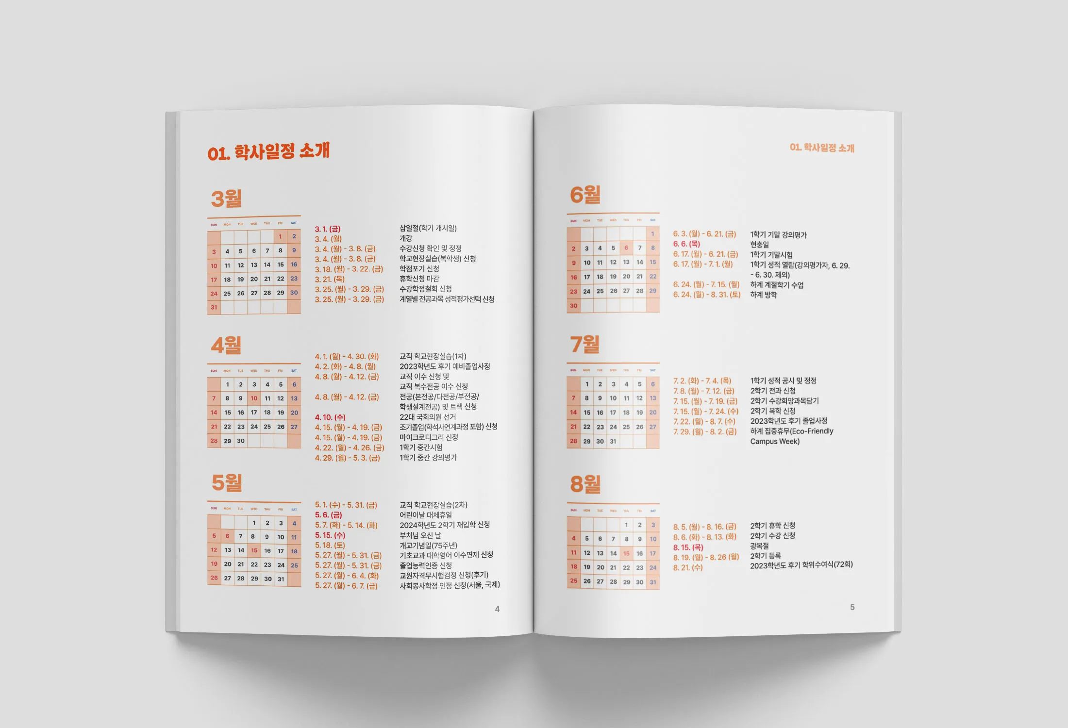 이미지 5